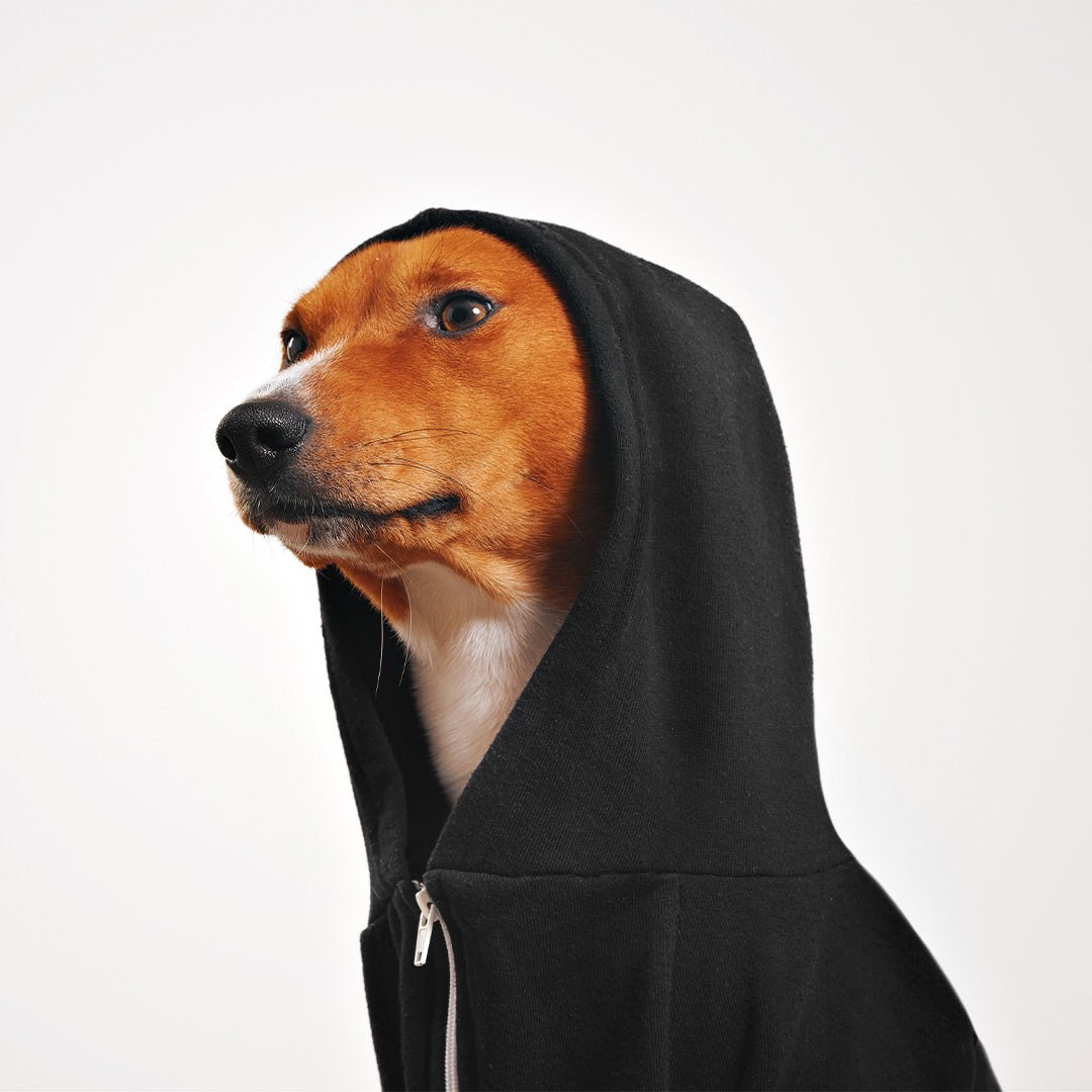 Pet Hoodie - Furry Friends Shop A