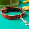 Dog Collar - Furry Friends Shop A