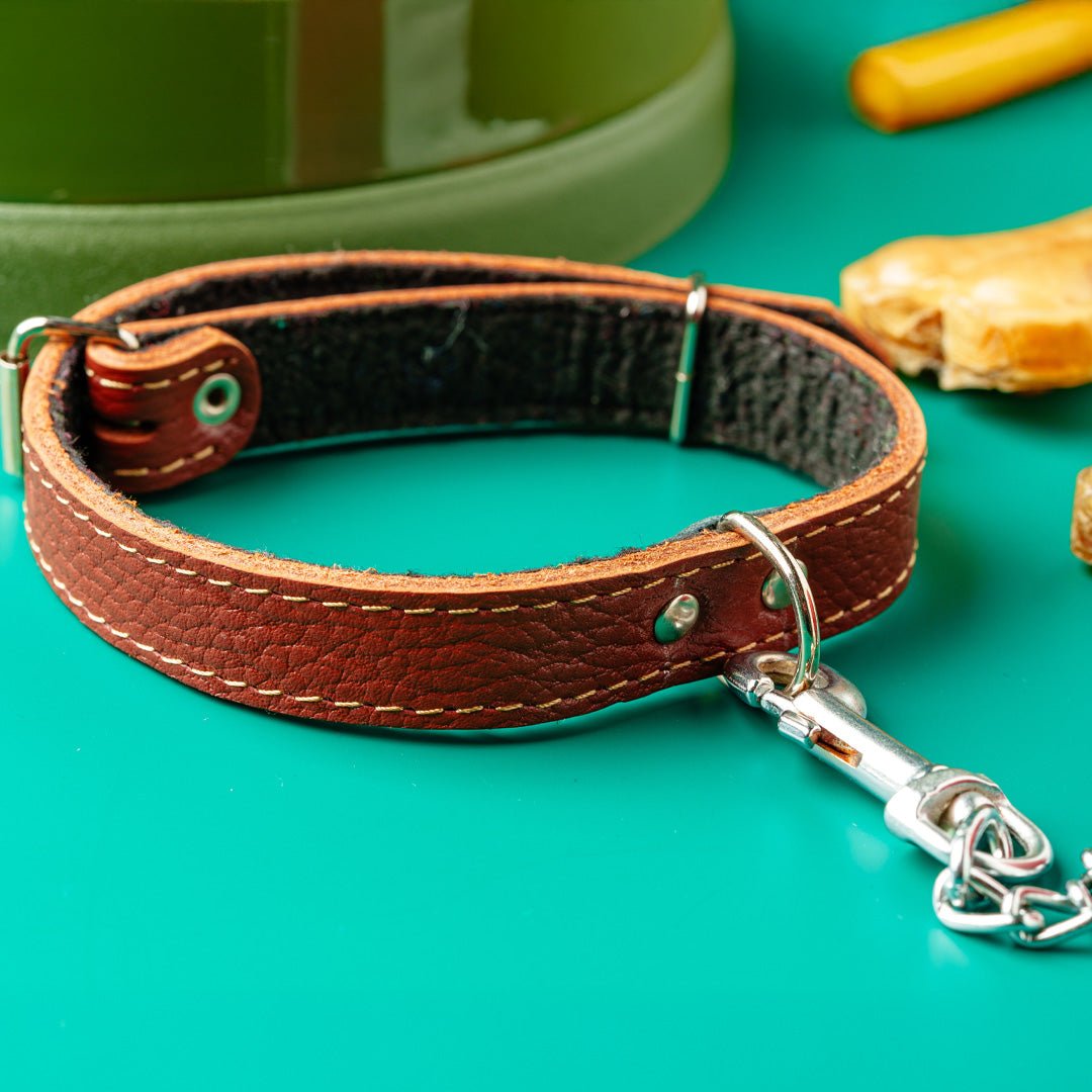 Dog Collar - Furry Friends Shop A
