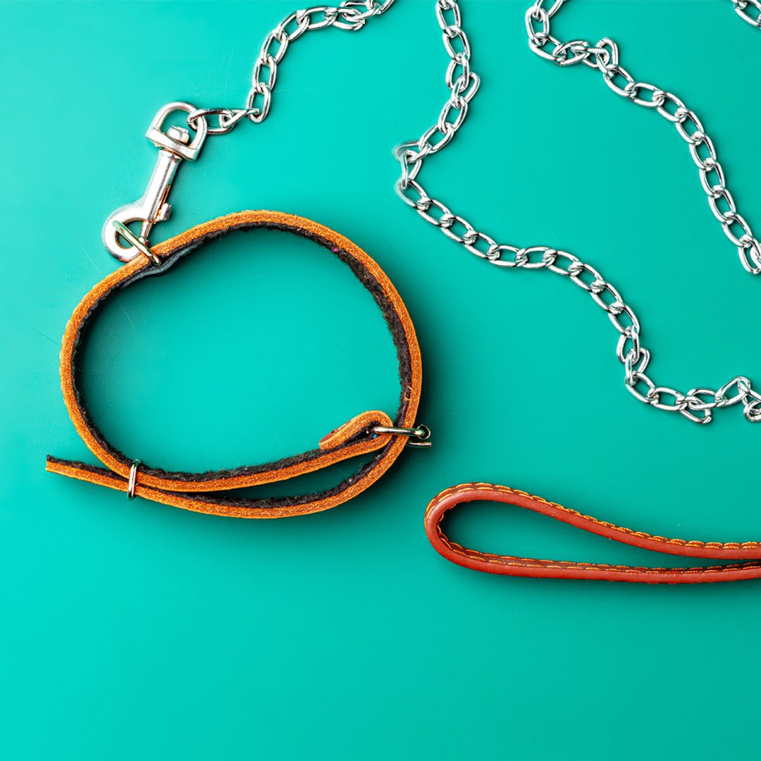 Dog Collar - Furry Friends Shop A