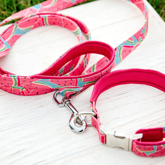 Leash - Furry Friends Shop A