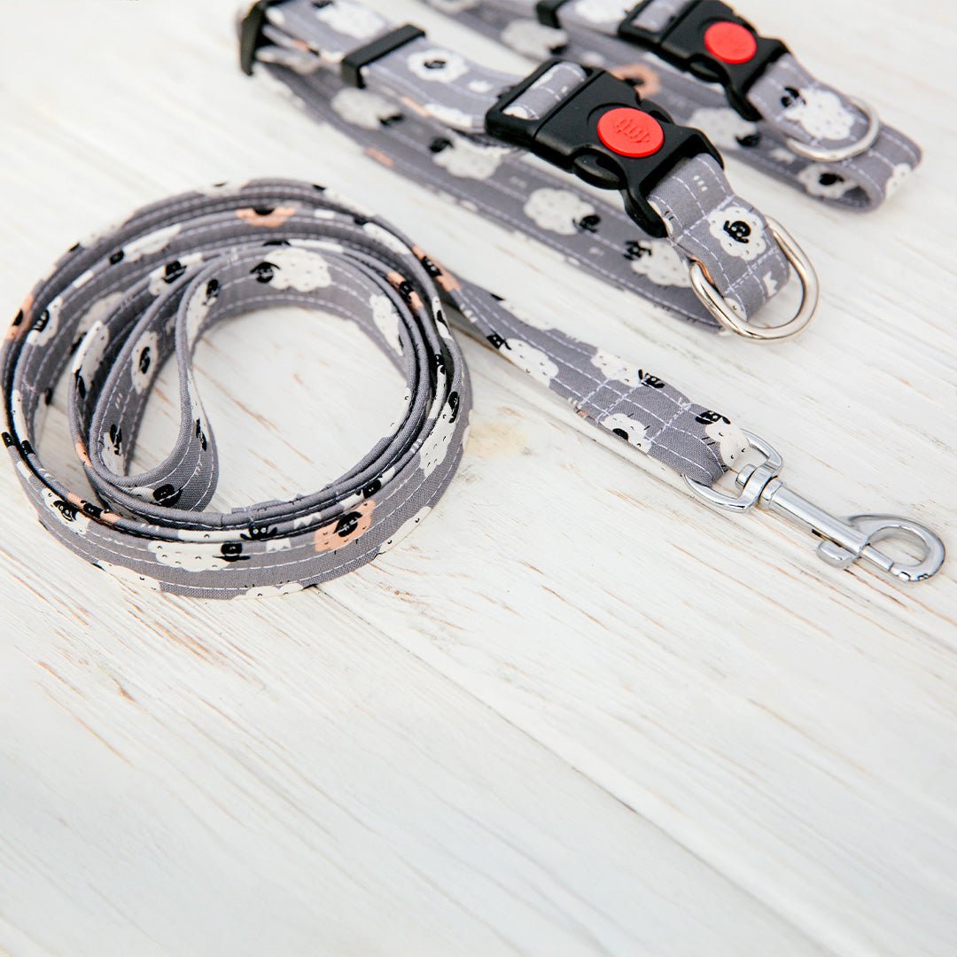 Leash - Furry Friends Shop A
