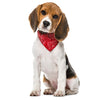 Pet Bandana - Furry Friends Shop A