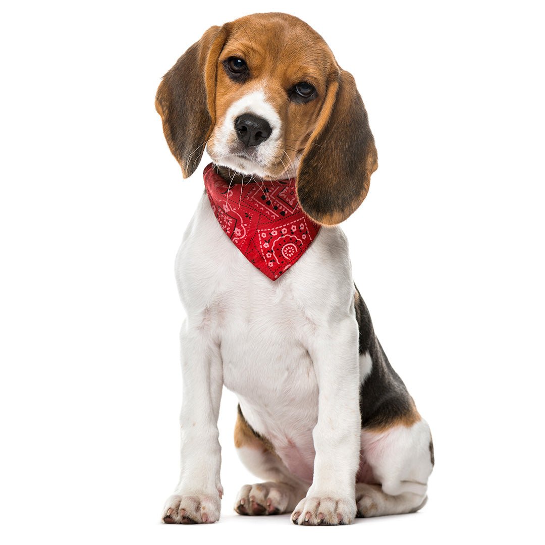 Pet Bandana - Furry Friends Shop A