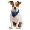 Pet Bandana - Furry Friends Shop A