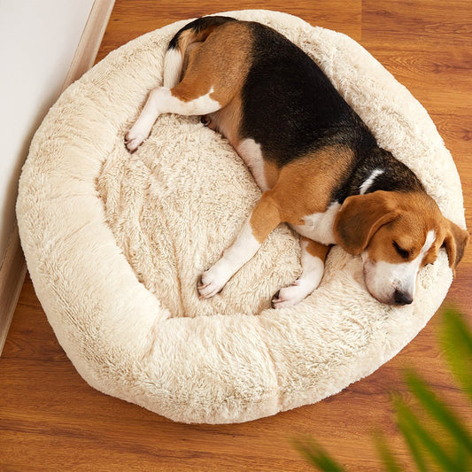 Pet Bed - Furry Friends Shop A