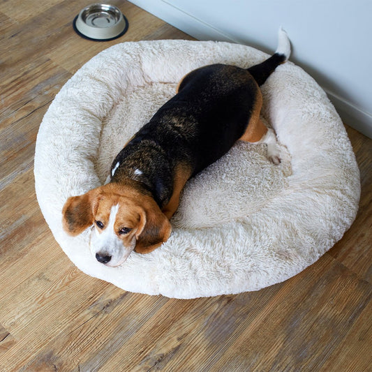 Pet Bed - Furry Friends Shop A
