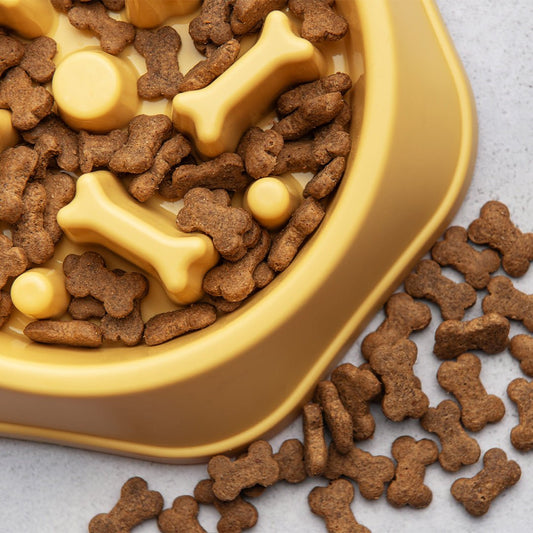 Pet Bowl - Furry Friends Shop A