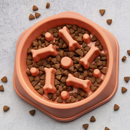 Pet Bowl - Furry Friends Shop A