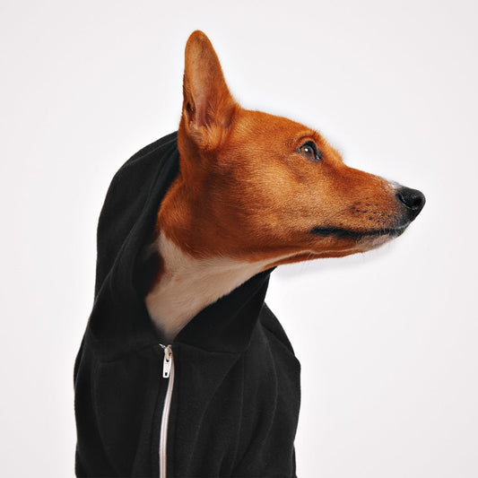 Pet Hoodie - Furry Friends Shop A