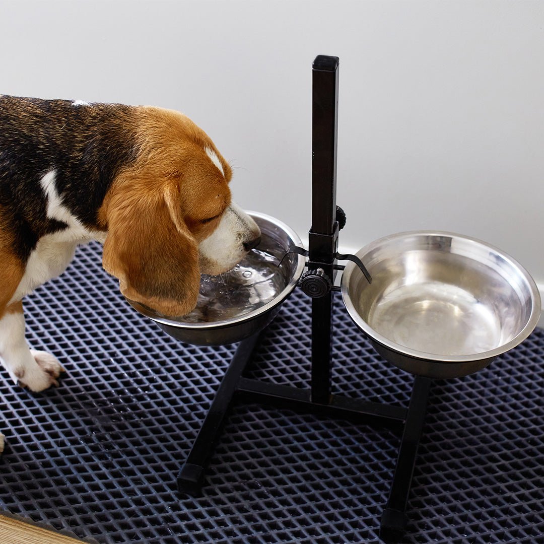 Pet Mat - Furry Friends Shop A