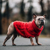 Pet Sweater - Furry Friends Shop A